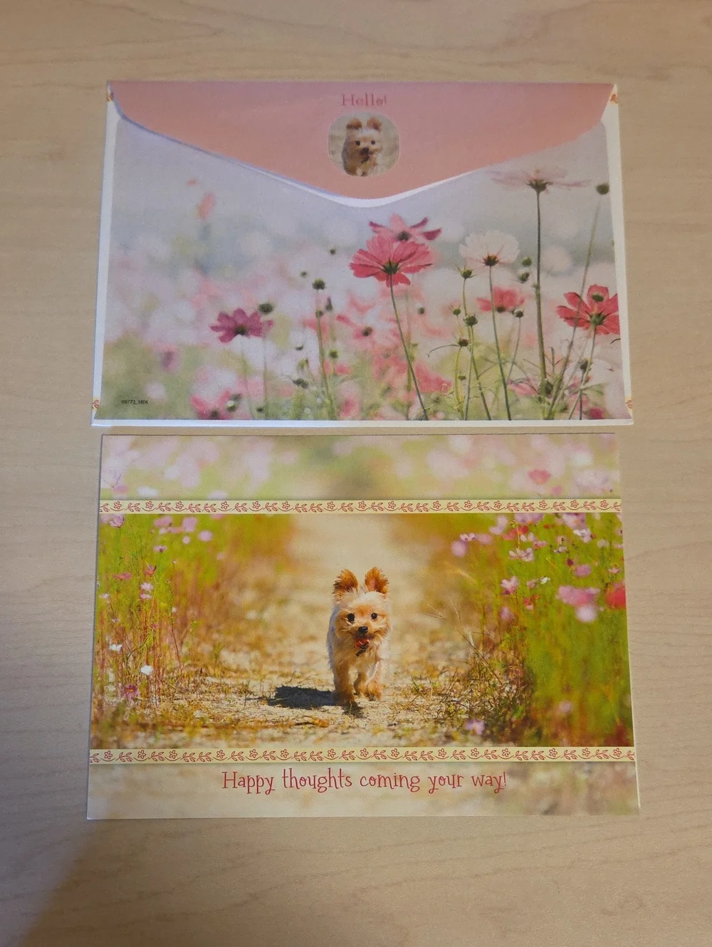 Shutterstock Greeting Card Set with Envelope - Small Dog and Flowers